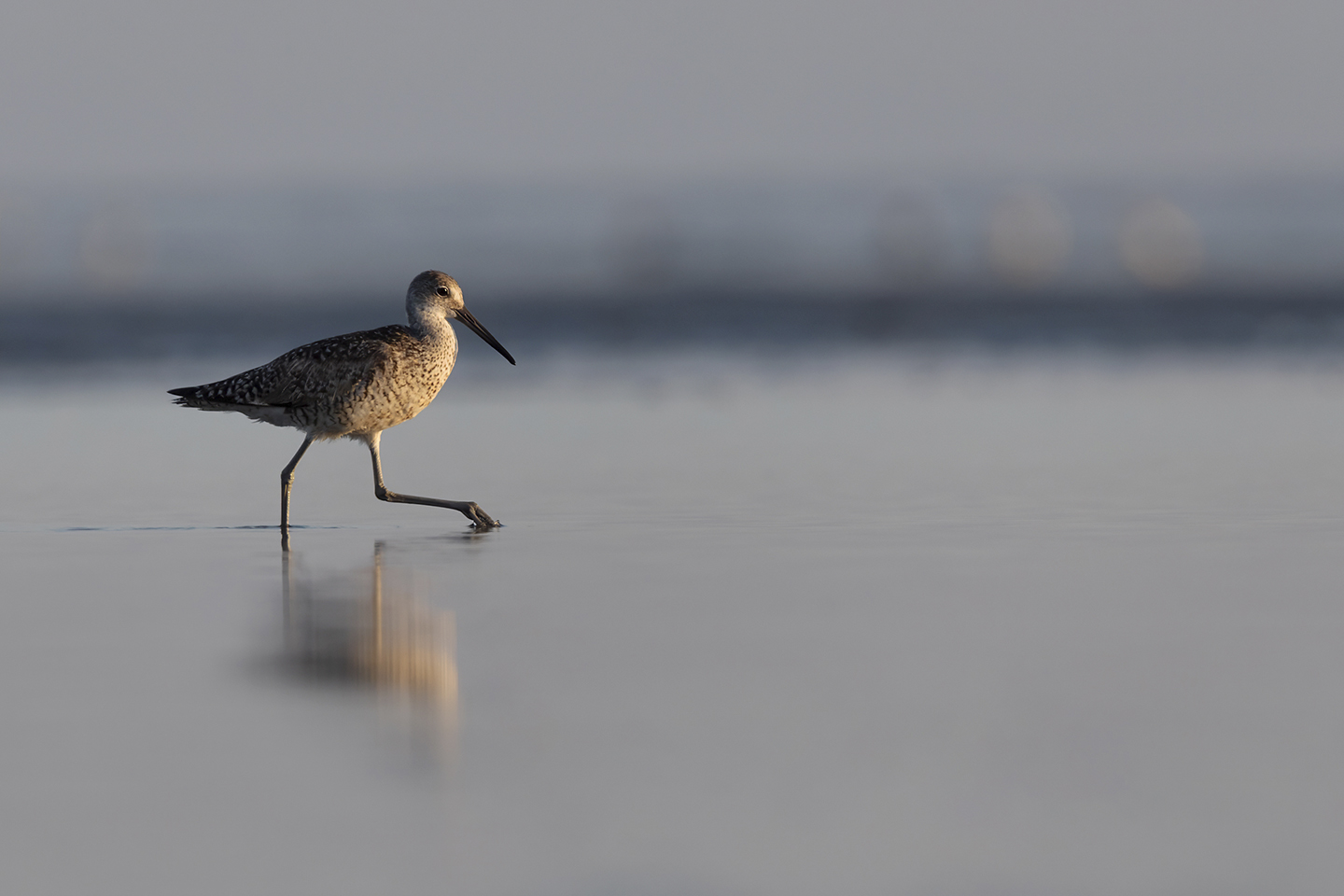 Julie Week 5 Image of the Week.