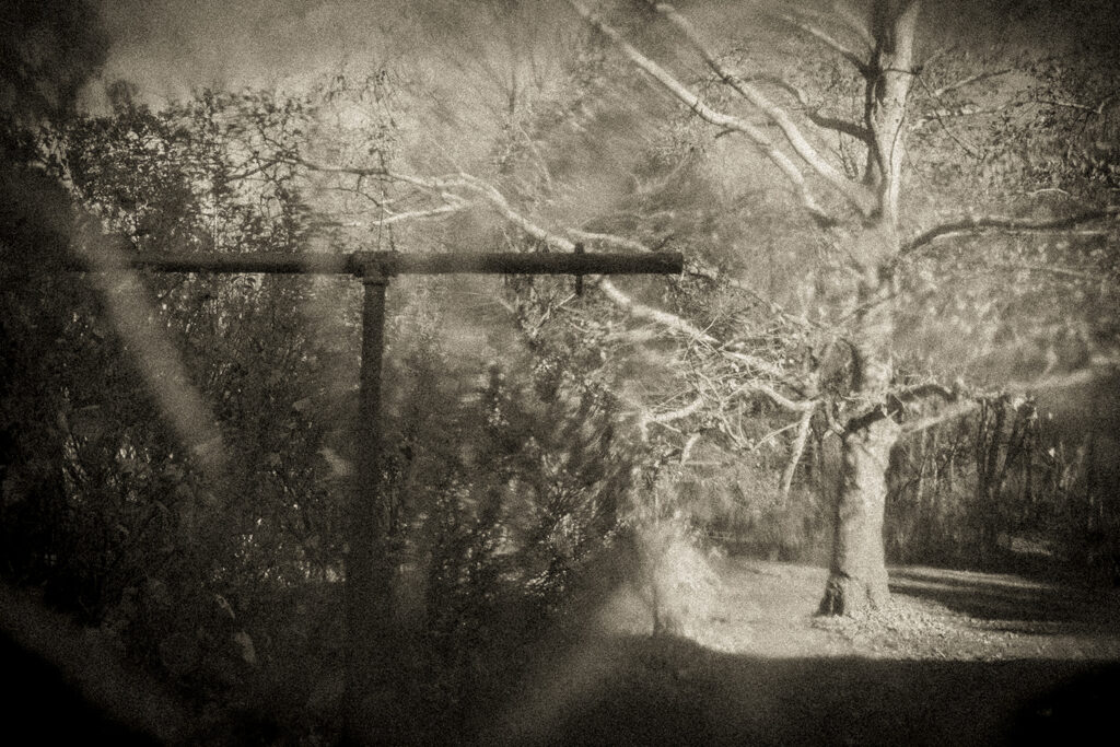 Pictorialism photo by Emma Gipe