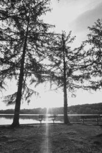 black and white project lake scene