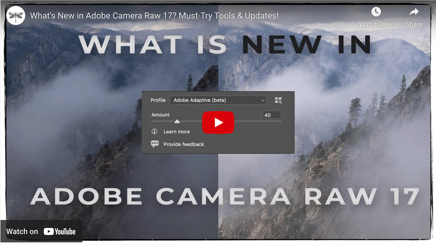 HOW TO METER WITH A DIGITAL CAMERA.