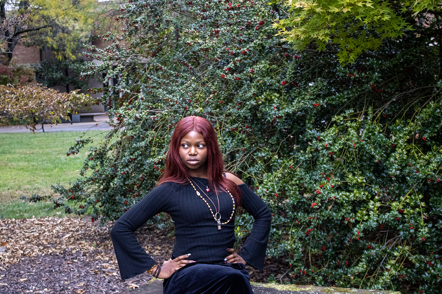 Nevaeh's Beauty of Life Series