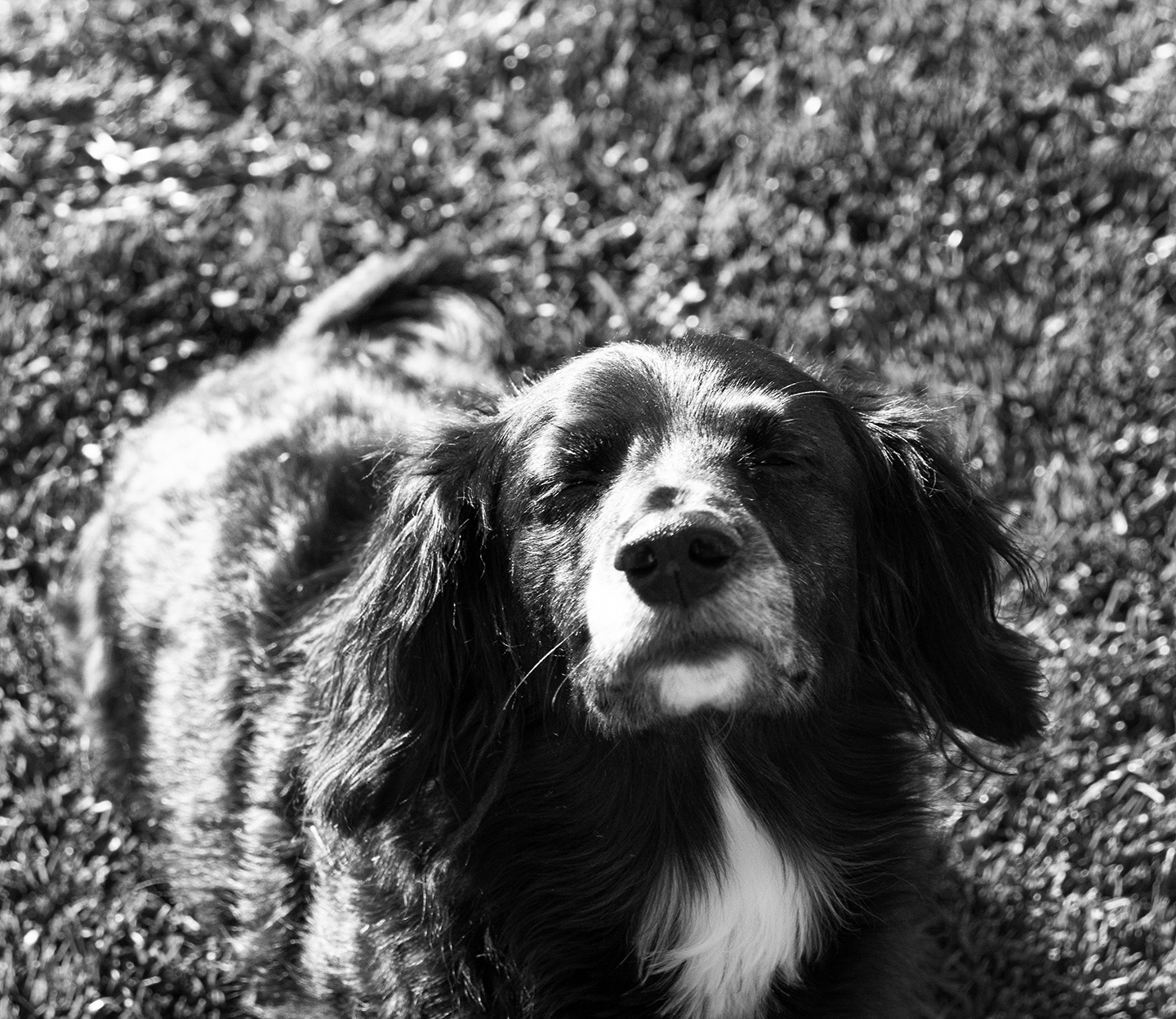 Nevaeh's Beauty of Life Series