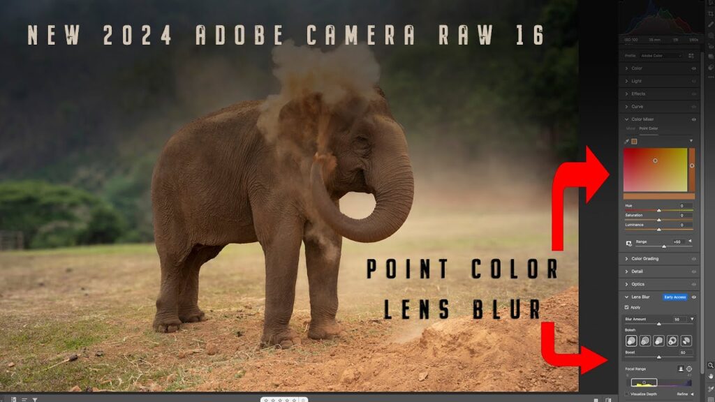 Adobe Camera Raw 2024